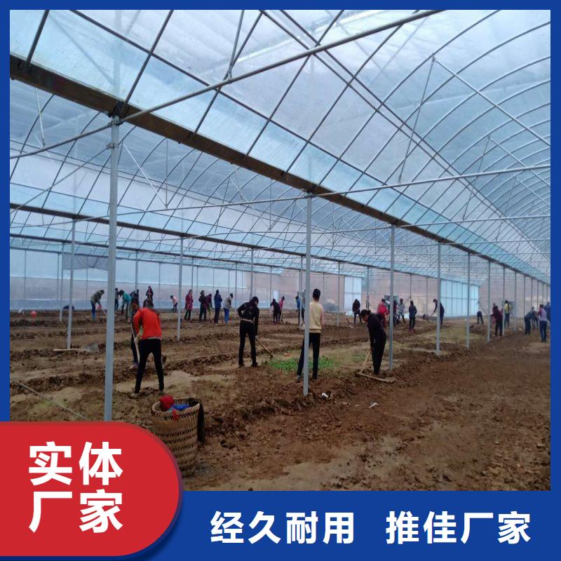 臨邑聯棟大棚質量可靠