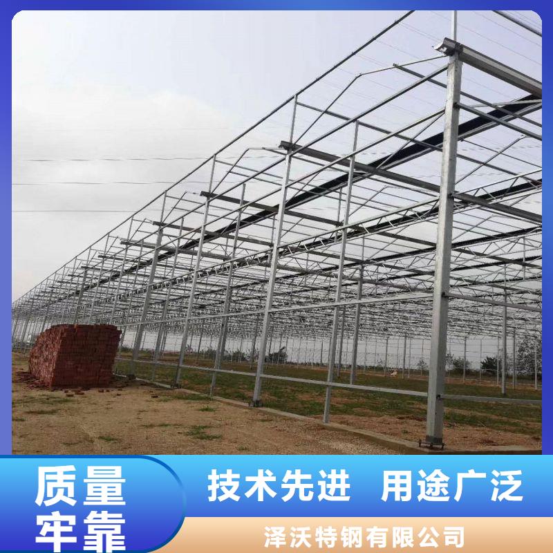 楊浦區草莓大棚哪里