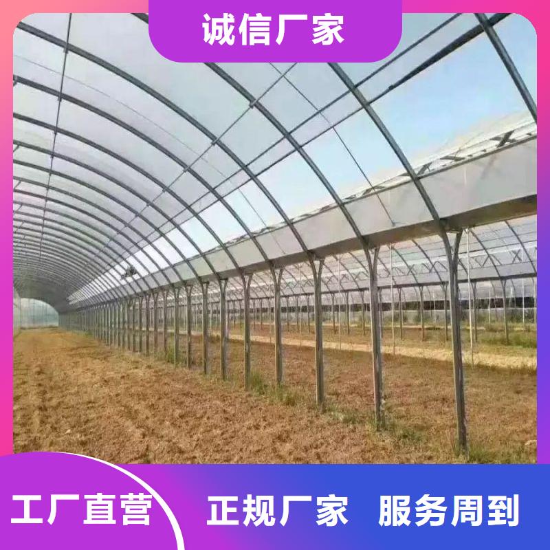 连体大棚视频-连体大棚(泽沃)覆盖地域四川省甘孜市稻城|乡城|巴中|凉山|资阳|乐山|眉山|德阳