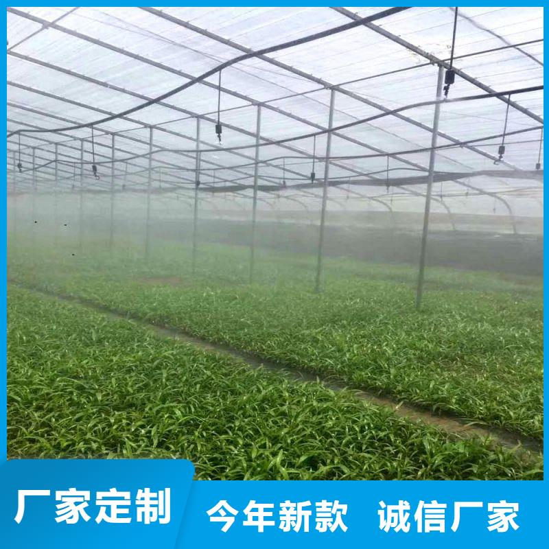 大棚管2溫室骨架大棚管可接急單