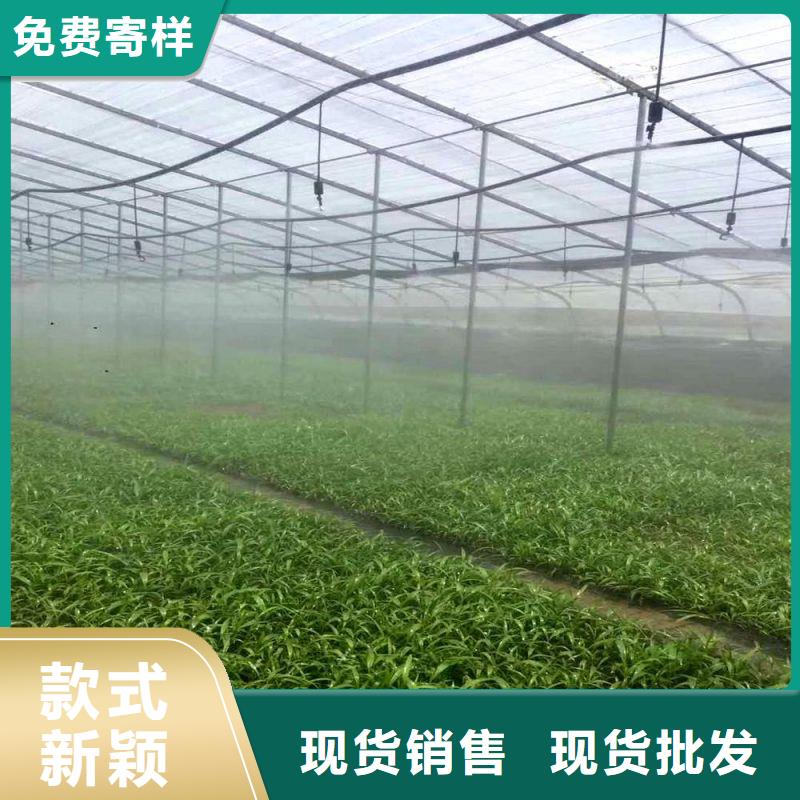 瀘縣農(nóng)業(yè)大棚管生產(chǎn)廠家