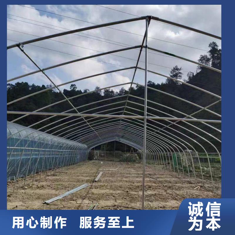 塔河縣草莓大棚管折彎