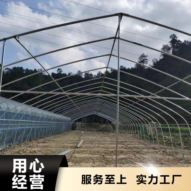 罗定市玻璃智能温室源头厂家