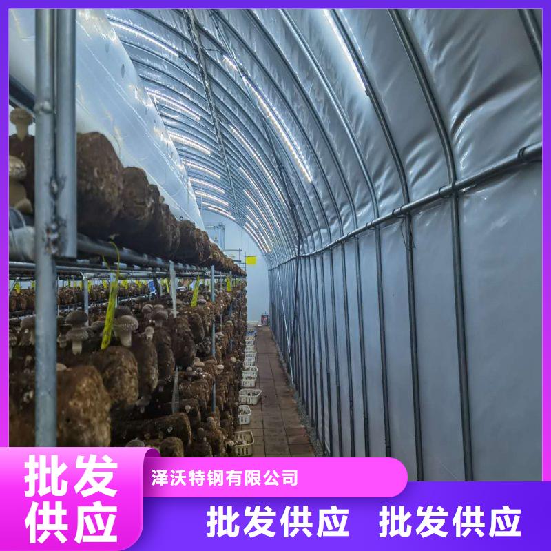 黔西縣黃瓜大棚骨架管