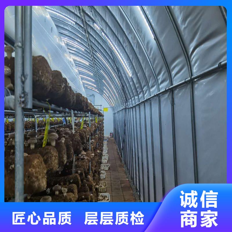 圓拱型大棚管折彎