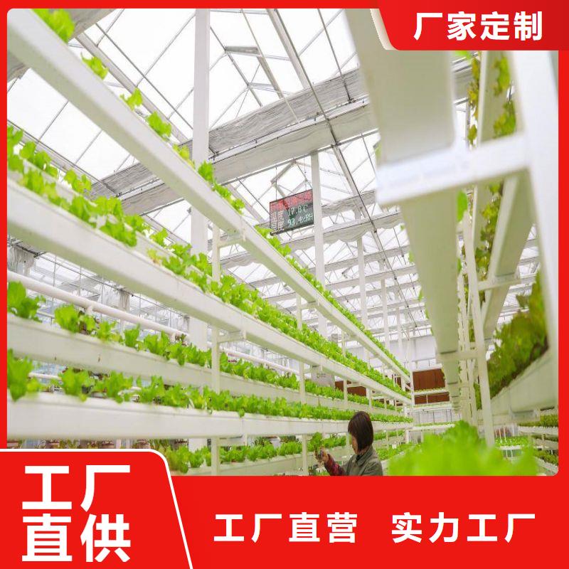 楊浦區草莓大棚哪里