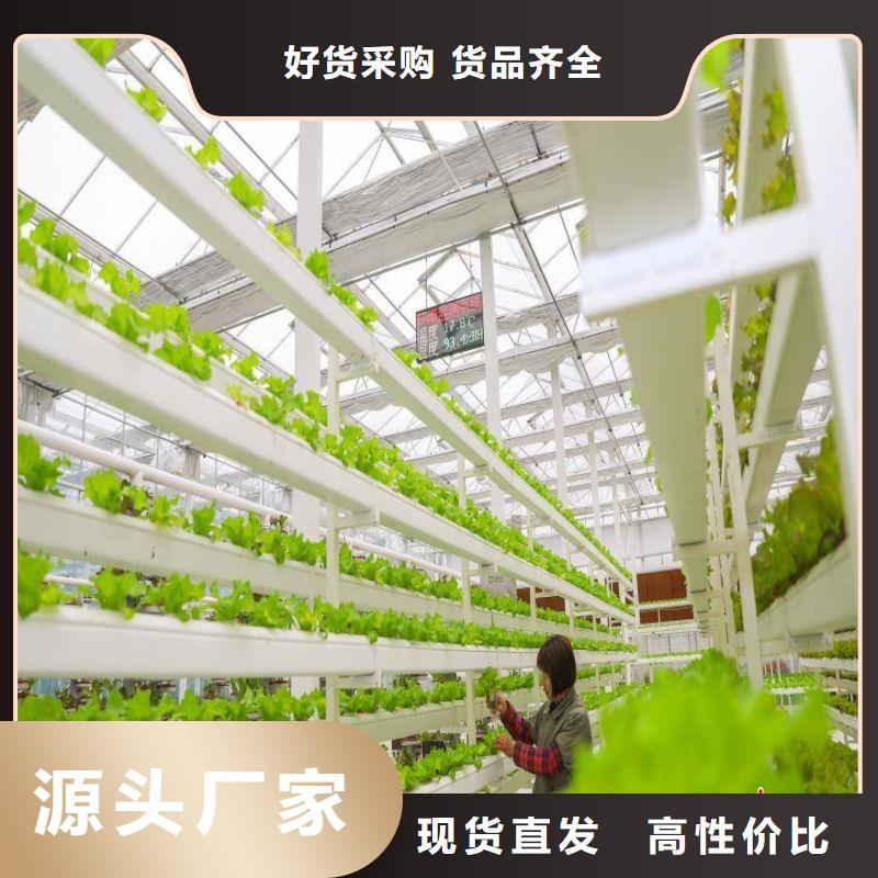 望都簡易6分柑橘大棚管免費上門指導