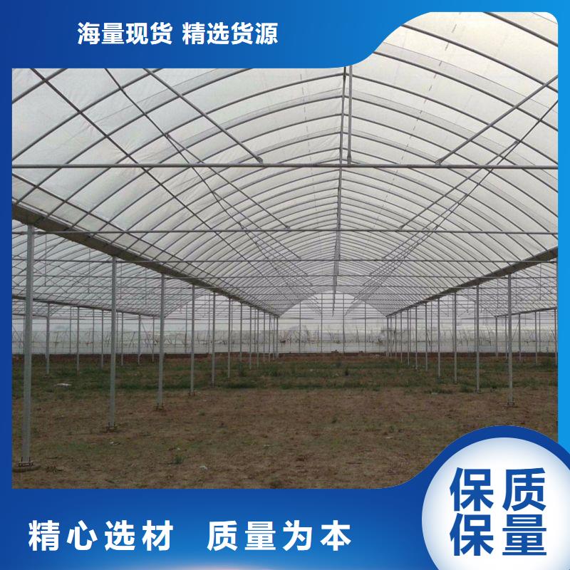 臨洮玻璃連棟大棚價格公道2025