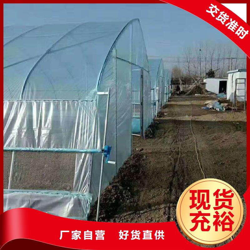 競秀簡易大棚管_誠信互利