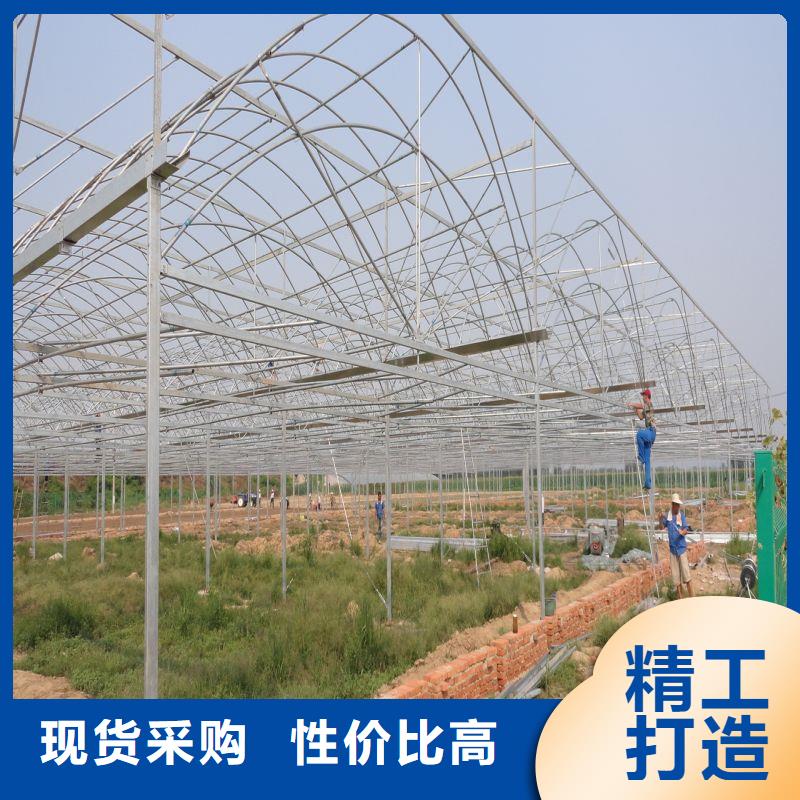 豐潤區樹苗大棚鋼管