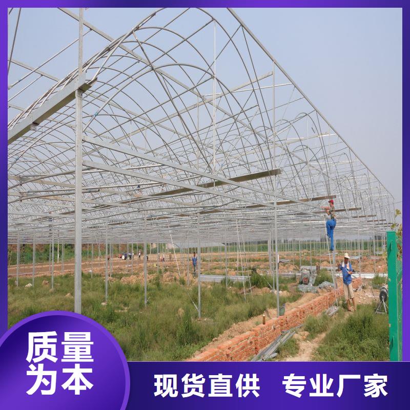 隴西縣西瓜大棚骨架