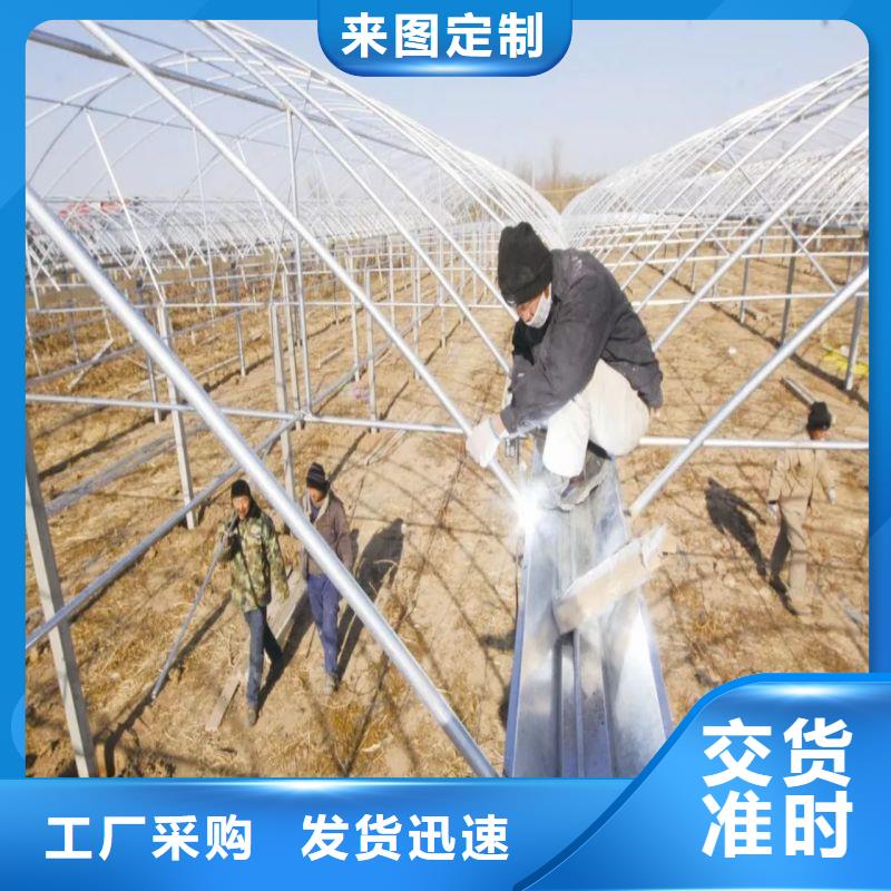 通山縣養(yǎng)鵝大棚管介紹