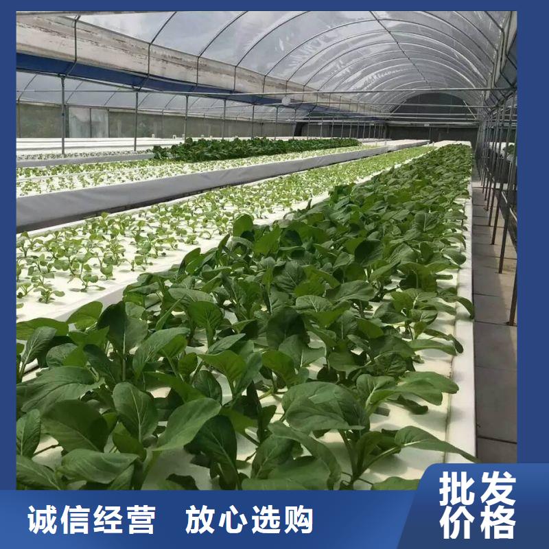 太和縣紋絡型玻璃溫室怎么賣