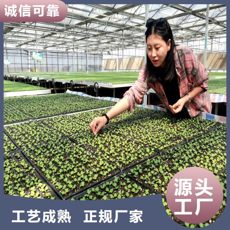 大棚管2連棟大棚管品質(zhì)信得過(guò)