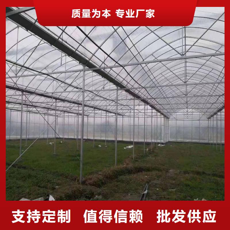 扶風縣草莓大棚管折彎購買