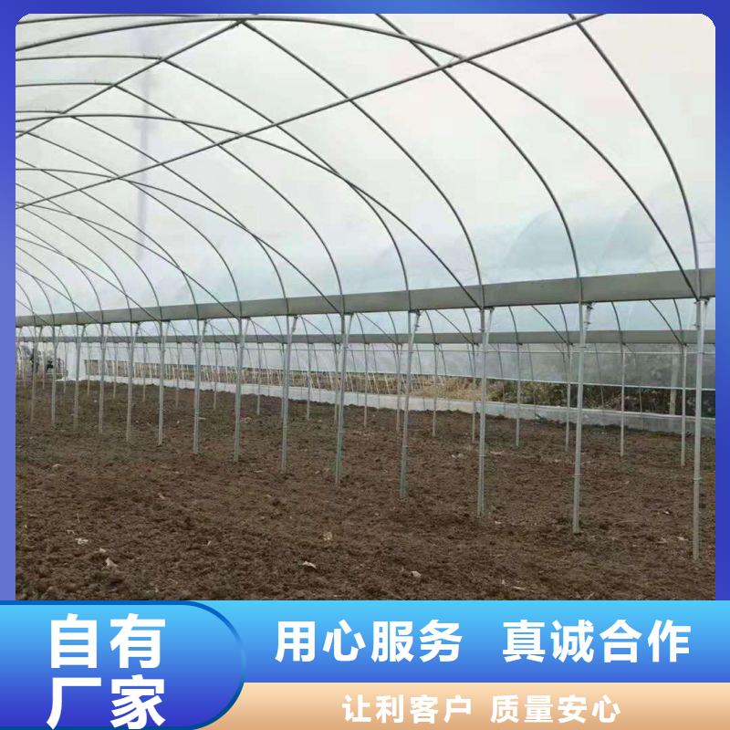 涿州市q195材質大棚管折彎