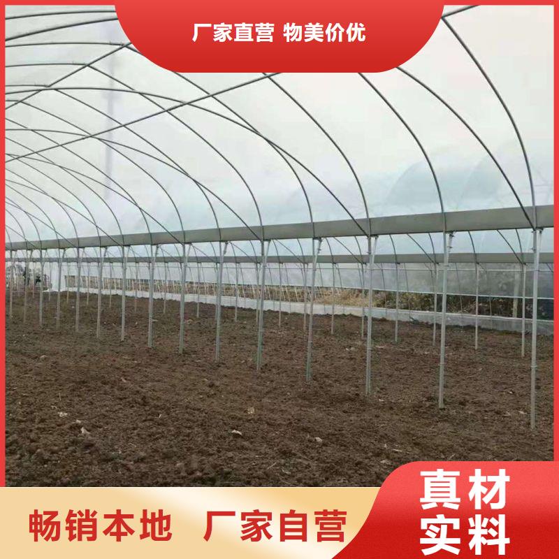 大棚管2連棟大棚管多種工藝