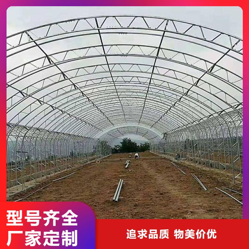 廣南縣高品質大棚骨架