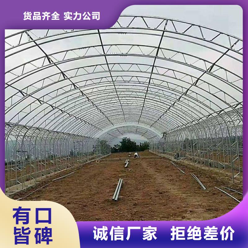 火龍國大棚怎么賣