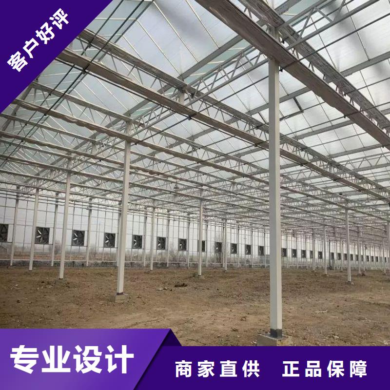 臨洮玻璃連棟大棚價格公道2025
