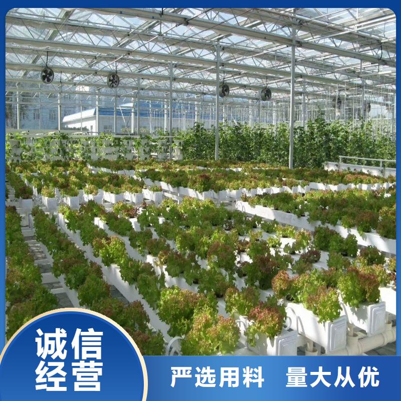 高陽連棟大棚廠家2025