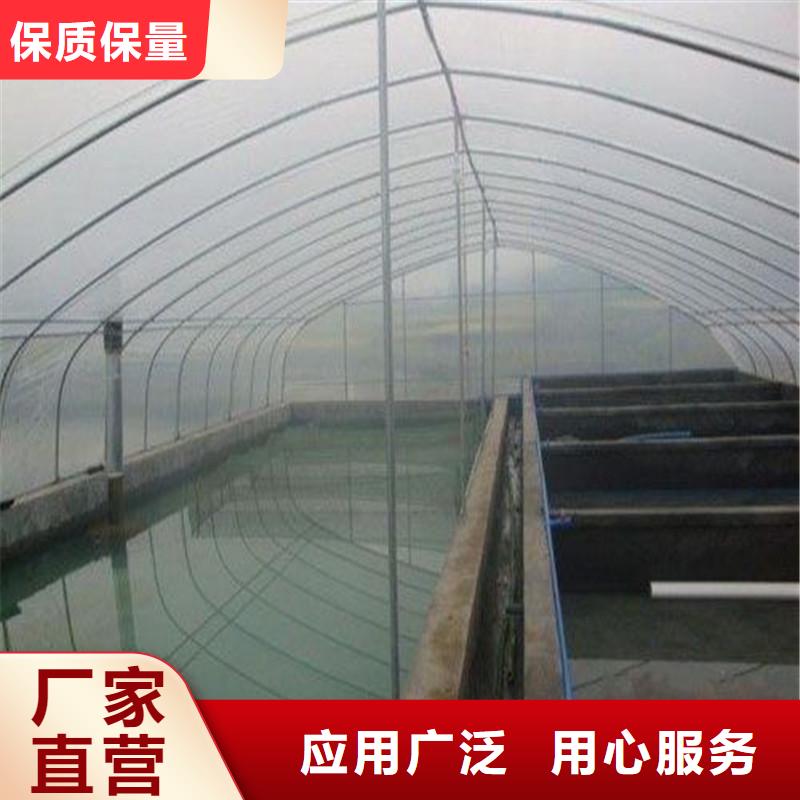 東方街道連體大棚用鍍鋅管聯(lián)系電話