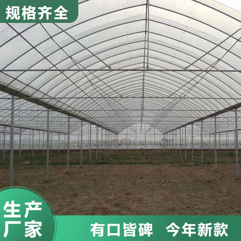 大洼縣連棟棚配件批發詢問報價