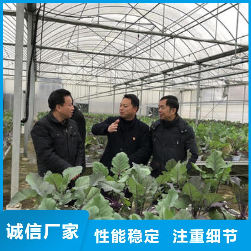 賣大棚管生產廠家的廠家
