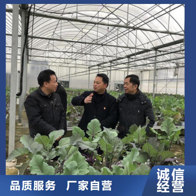 邛崍大棚配件優(yōu)惠多