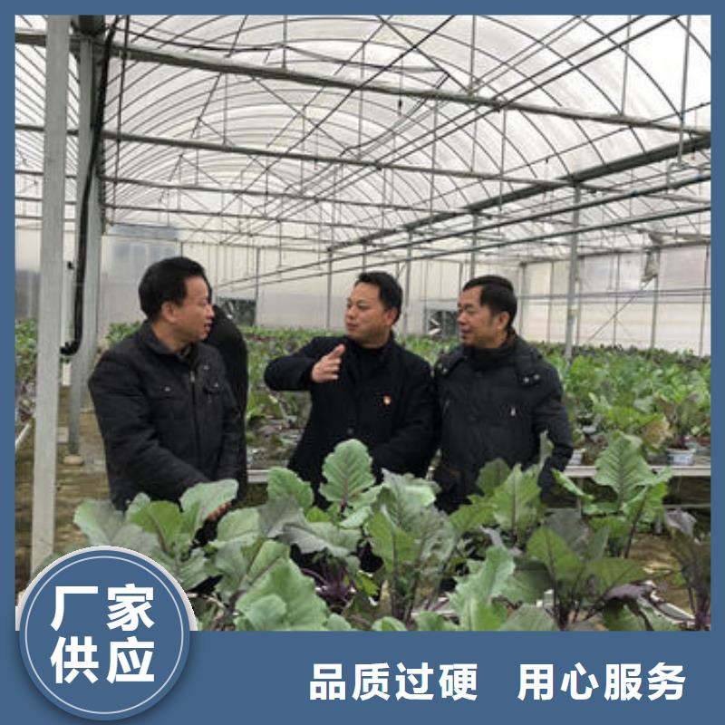 種植大棚價格公道