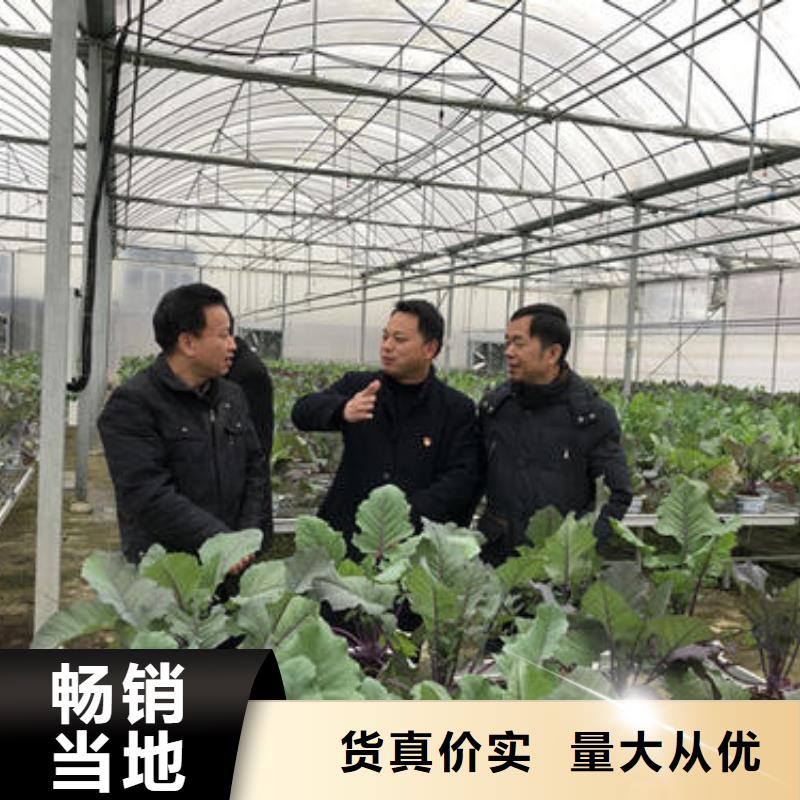 大棚管温室骨架大棚管老品牌厂家
