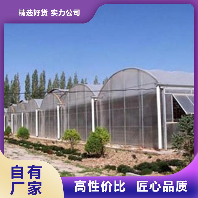 连体大棚视频-连体大棚-泽沃特钢(丽江市分公司)服务区域永胜|华坪|楚雄|迪庆|昭通|西双版纳|玉溪|临沧