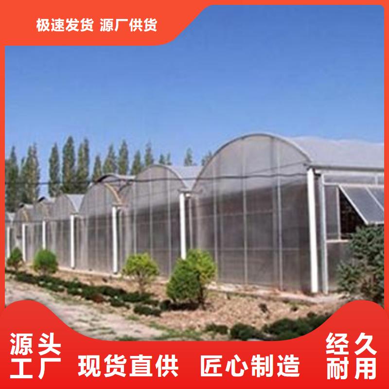 泗陽縣塑料大棚骨架Q235蔬菜大棚管現貨