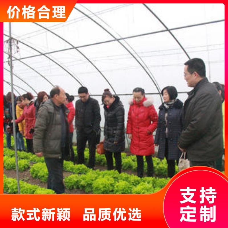  大棚管工艺层层把关