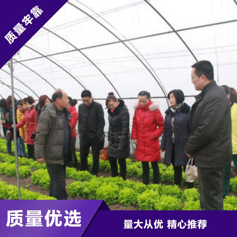 大棚管农业养殖大棚管服务至上