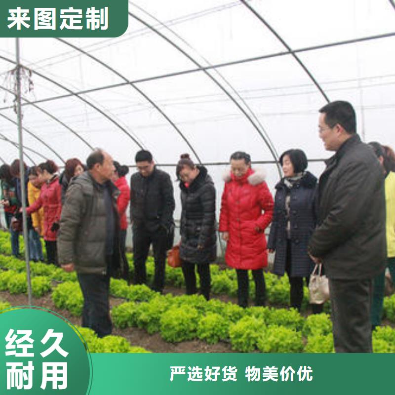 種植大棚價格公道