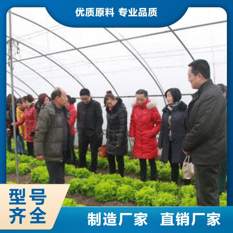 辛集區連棟大棚鋼管配件二十年安裝經驗