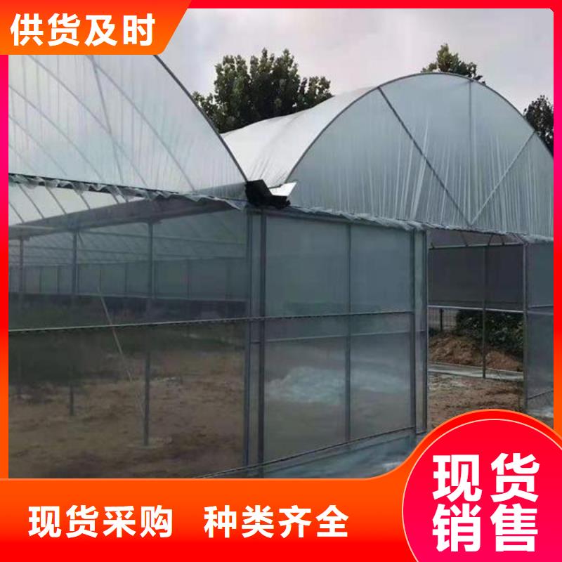大棚管橢圓管溫室大棚產地工廠