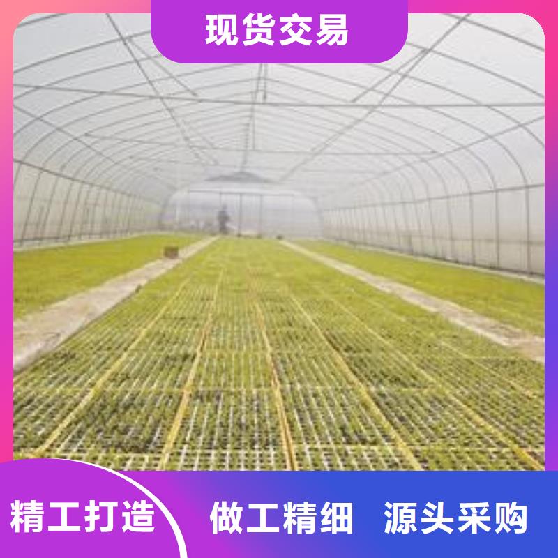 批發大棚管生產廠家的生產廠家