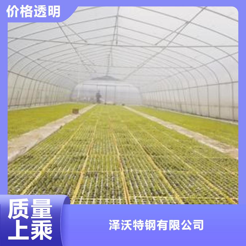 連棟塑料薄膜大棚骨架管電鍍鋅,