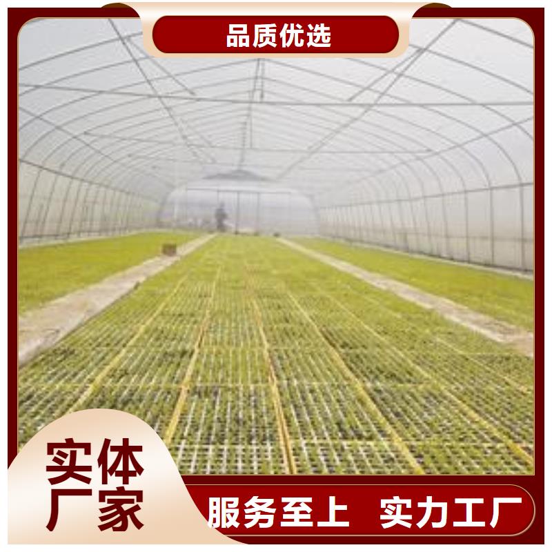 綿竹大棚骨架管實力雄厚