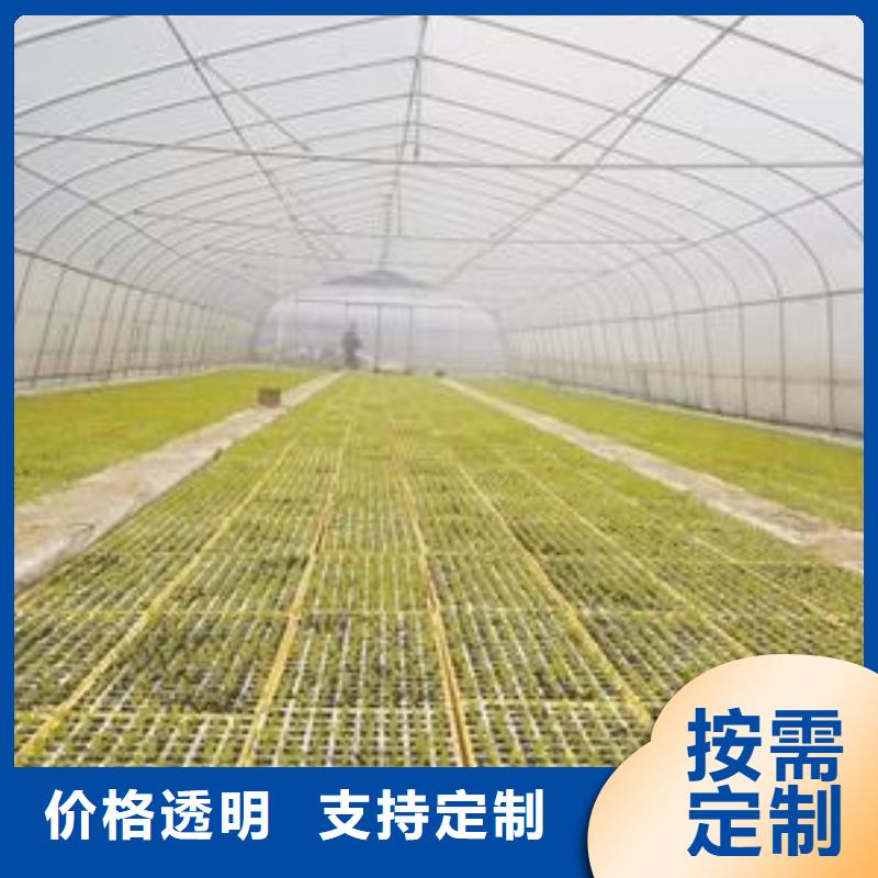 【大棚管】-大棚管廠家一站式采購方便省心