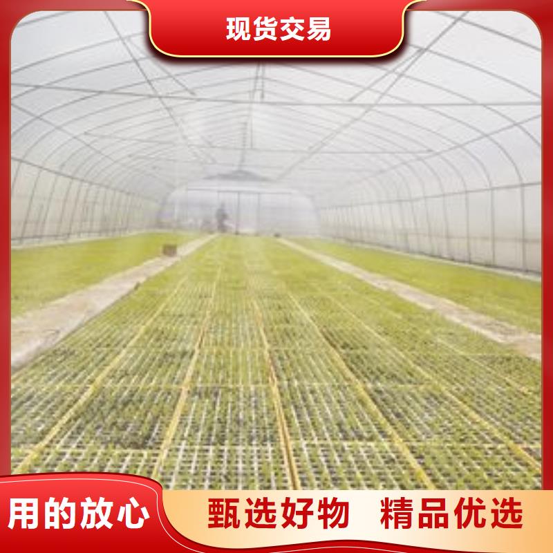 622型大棚管現貨商品批發/