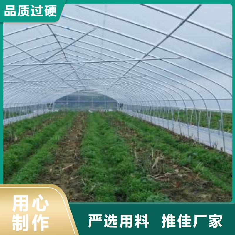 大棚管,日光温室大棚贴心服务