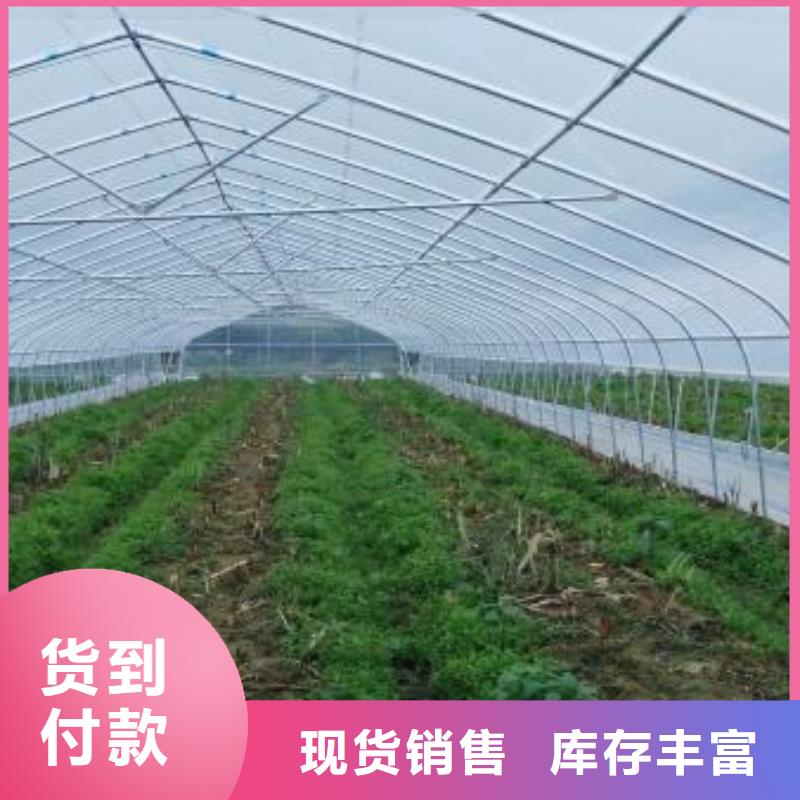 大棚管连栋大棚管货源直供