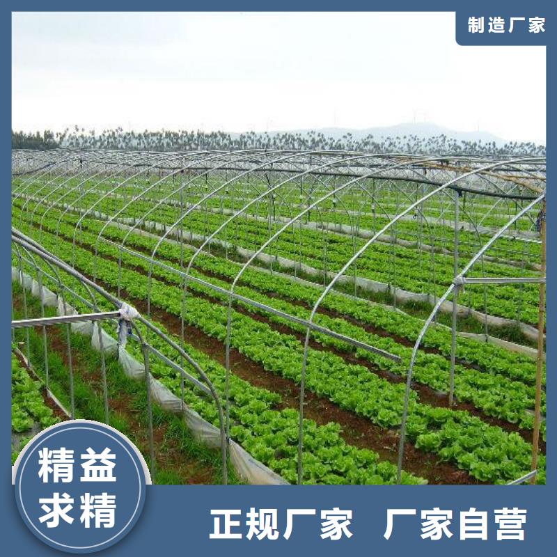 大棚管廠家、大棚管廠家生產(chǎn)廠家—薄利多銷