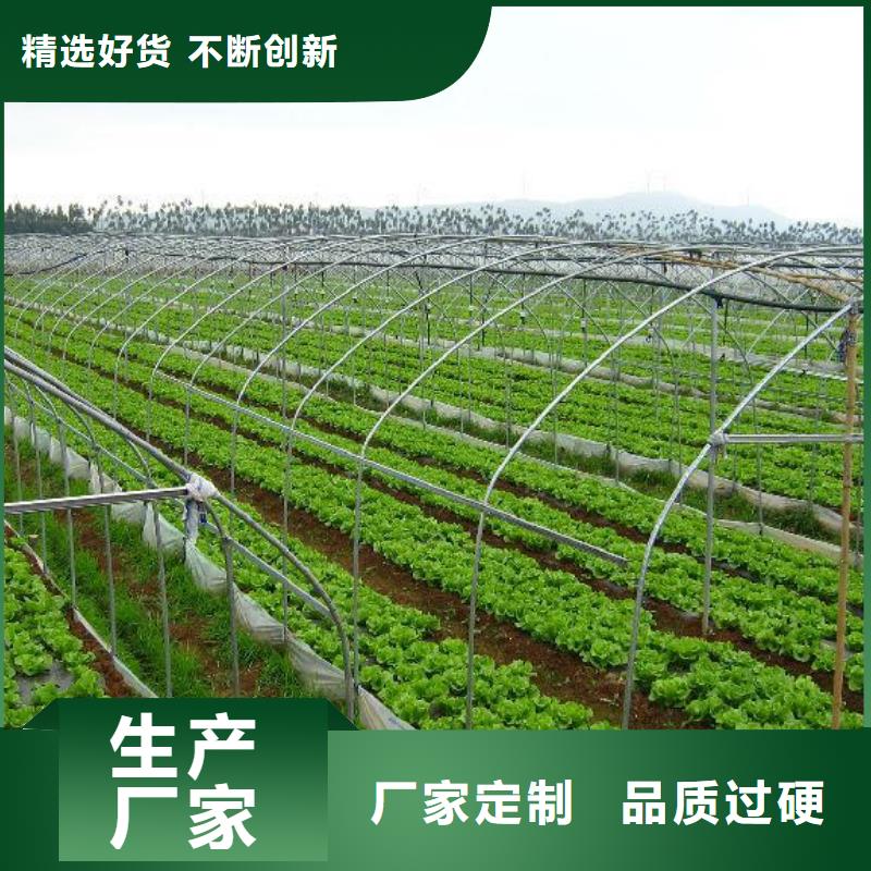 大棚管,【镀锌大棚管】通过检测