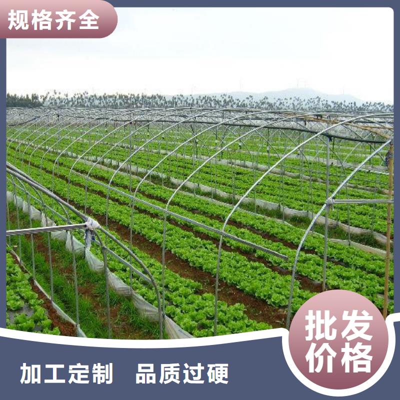 大棚管鍍鋅大棚管質(zhì)量為本