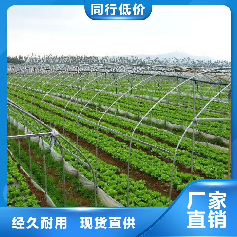 經(jīng)驗(yàn)豐富的蔬菜大棚管供貨商
