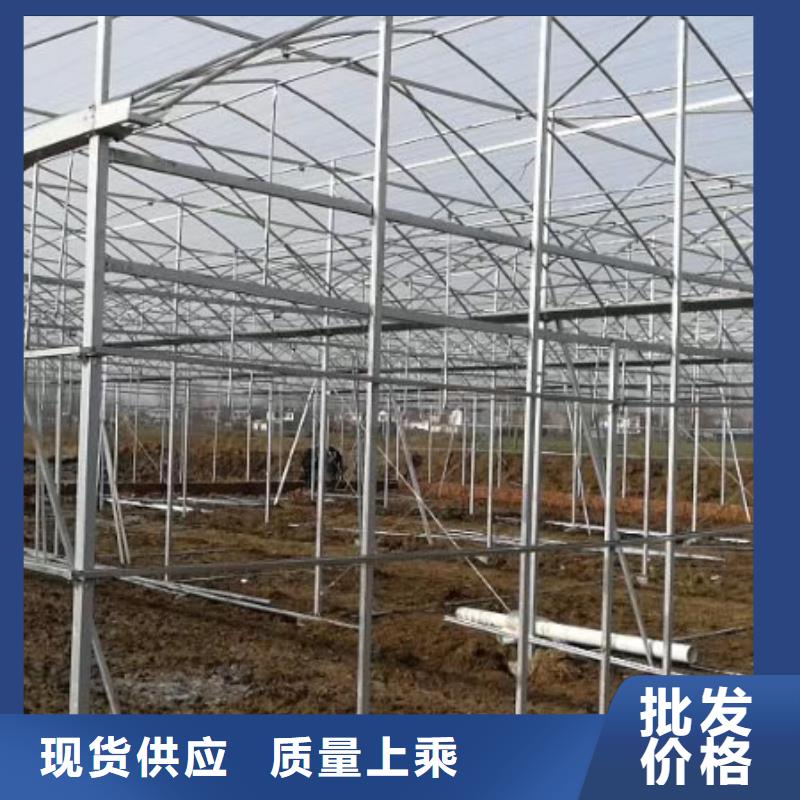 大棚管連棟大棚管48小時發貨